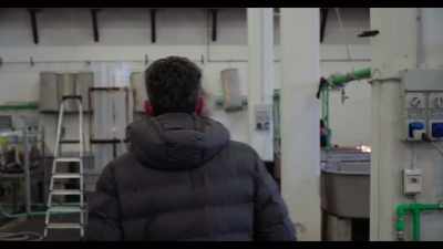 Alberto manages
the artificial fertilization of fish - Dogs