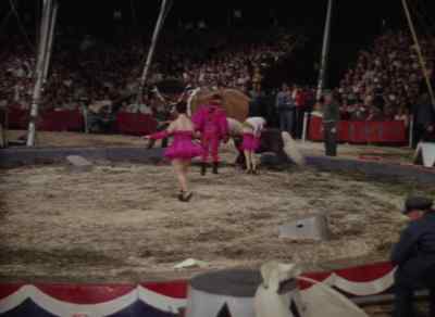 Alberto zoppe and cucciola, - The Greatest Show on Earth