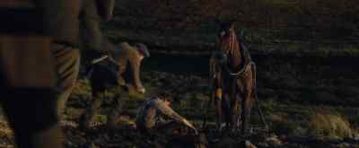 Albie, are you all right? - War Horse