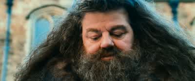 Albus, look,Hagrid's record is against him. - Harry Potter and the Chamber of Secrets