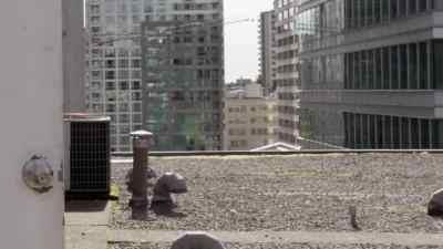     Alec, Alec, I'm burned. - Continuum