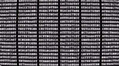 Além do compartilhamento
de dados, - Race Against Pandemic