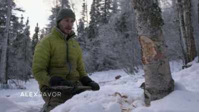 ALEX: Every time I
cut down a tree here, - Life Below Zero: Next Generation