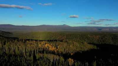 ALEX: If I'm getting
frustrated because things - Life Below Zero: Next Generation