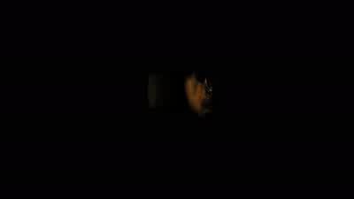 ALEX: In the maze. - Prisoners