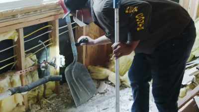 Alex is
my pest control specialist. - Help! I Wrecked My House