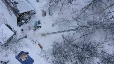 ALEX: That's not good.
It's hung up in this tree. - Life Below Zero: Next Generation