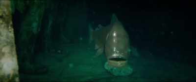 -[Alexa] No, Nicole. | wouldn't.
-Nice to meet-- - 47 Meters Down: Uncaged