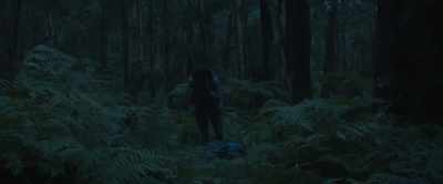 Alice was already dead
when I found her. - Force of Nature: The Dry 2