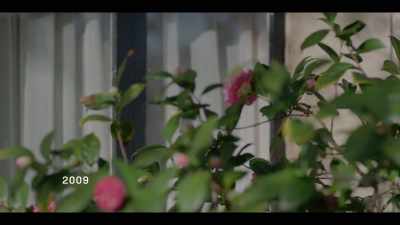 (ALICE COOING) - I'll Be Gone in the Dark