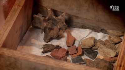 ALICE ROBERTS:
Until Yftinus's research, - Curse of the Ancients with Alice Roberts