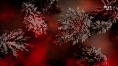 ALICE ROBERTS:
Was climate change the cause - Curse of the Ancients with Alice Roberts