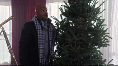Alice was very specific
about her Christmas trees. - Christmas Everlasting