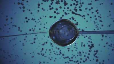 Alien genetics are introduced
in vitro, - Extraordinary: The Seeding