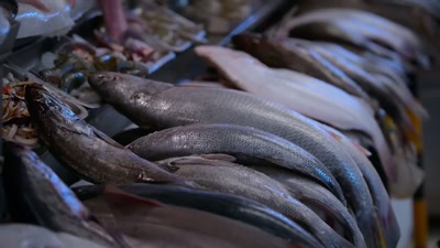ALISA:
From the Pacific Ocean, - Searching for Soul Food