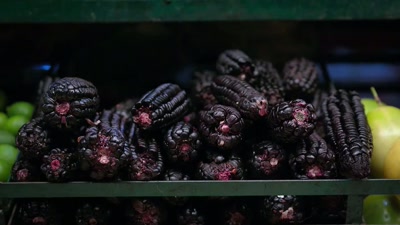 ALISA:
With all of these insane, - Searching for Soul Food