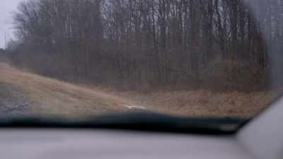 ALISON: It still doesn't
seem real... to me. - Resynator