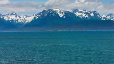 All across the higher latitudes, - Blue Planet II