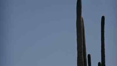 all airliners. - Zabriskie Point