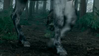 Robb? All alone in the deep, dark woods. - Game of Thrones