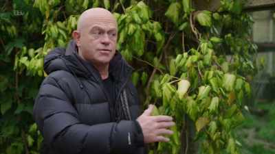 All around the world? - Britain's Tiger Kings - On the Trail with Ross Kemp