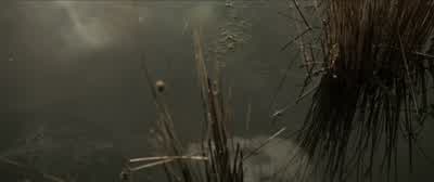 All dead. - The Lord of the Rings: The Two Towers