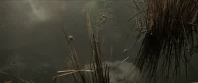 All dead. - The Lord of the Rings: The Two Towers