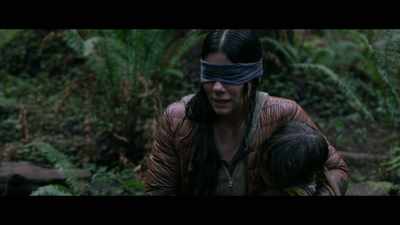 All different colored birds, - Bird Box