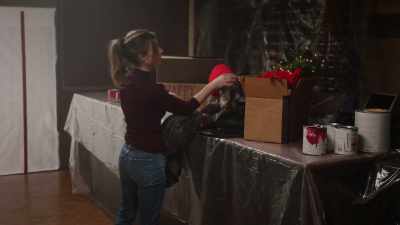 All dogs might go to
heaven but they should - A Taste of Christmas
