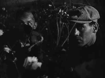 All you gotta do is hide and watch. - The Grapes of Wrath