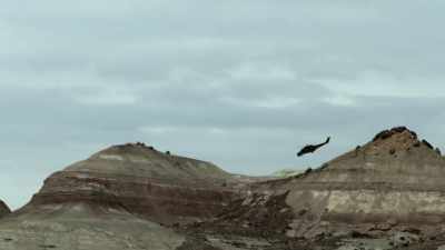 All guards report immediately. - Jurassic Hunt