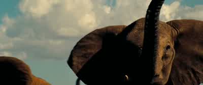 All hail Megatron. - Transformers: Dark of the Moon