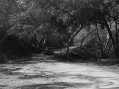 All:
* HERE A QUACK, THERE A QUACK,
EVERYWHERE A QUACK-QUACK * - The Andy Griffith Show