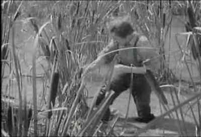 All I got was a mouthful of cat-tail. - The Adventures of Mark Twain