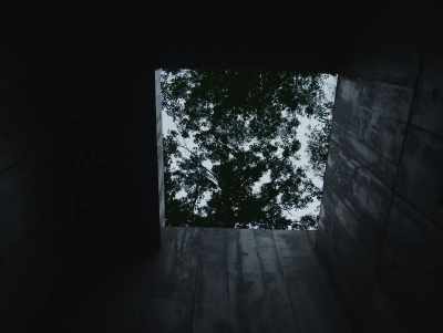 [All] If blue bugs
bleed blue blood, - John and the Hole