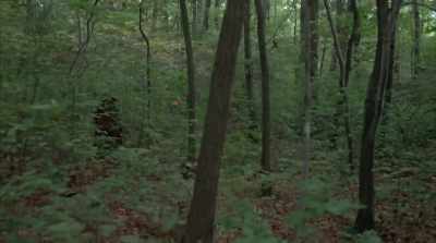 All you knew was like wow, this person's upset. - In Search of Darkness