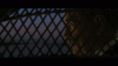 All my lifeI never wanted to be anything to anyone but an amusement - Death on the Nile