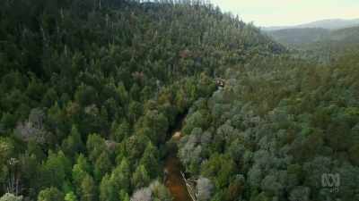 All who live here must adapt - David Attenborough's Tasmania