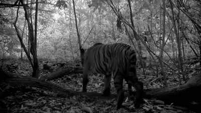 All you need to do is
lock down protected areas, - Trafficked with Mariana van Zeller