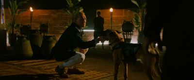 All of this for what - John Wick: Chapter 3   Parabellum