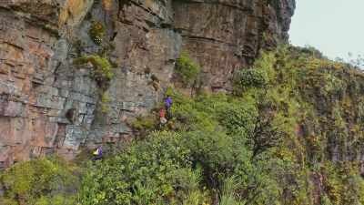 All of this sounds absolutely incredible. - Explorer: The Last Tepui