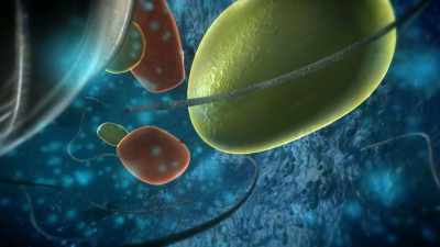 All of these things can occur - Superhuman: The Invisible Made Visible