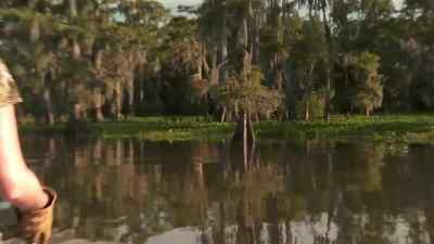         All right, anna,
        this one's down. - Swamp People