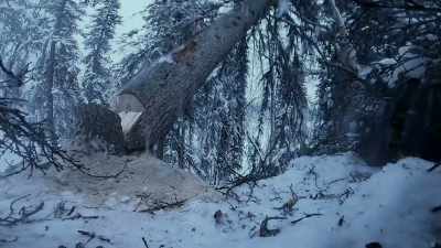 All right.
Awesome, love! - Life Below Zero: Next Generation