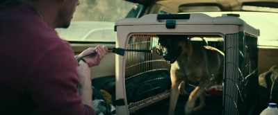 -All right.
-[barking] - Dog