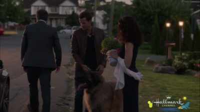 All right, Barnabas, this walk was your idea! - At Home in Mitford