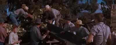 All right, bring her on. Come on - East of Eden