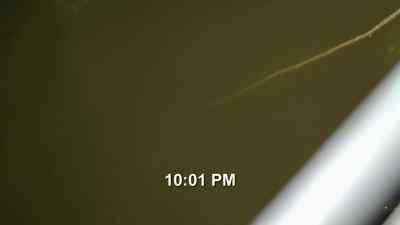 All right, buddy,
you're at four hours
right now. - Bering Sea Gold