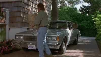All right. Come on. - Top Dog