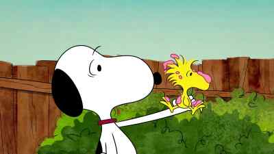 All right, dog, this is your last chance to pay up. - The Snoopy Show